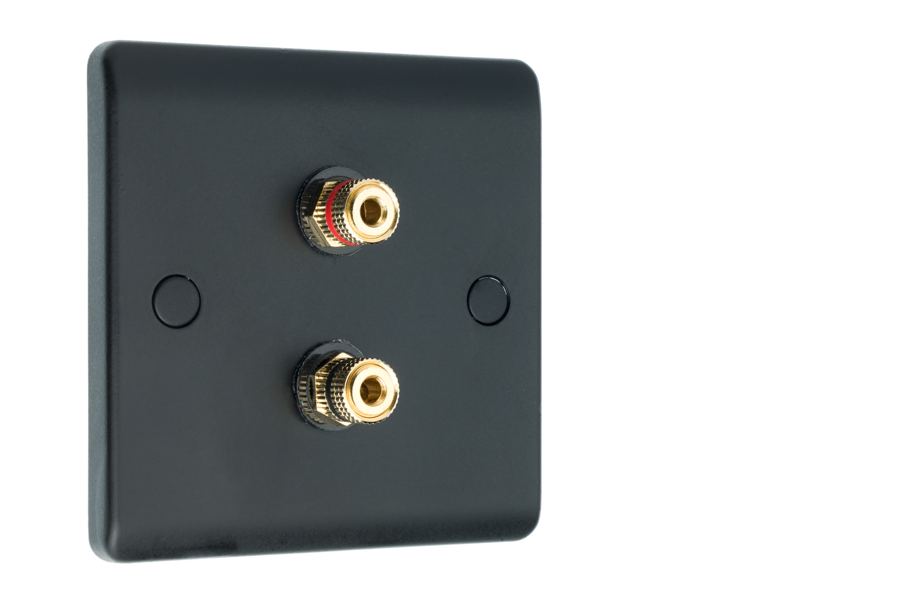 Speaker Wall Plate Matt Black 2 Gold Binding Posts AV Audio Nonsolder